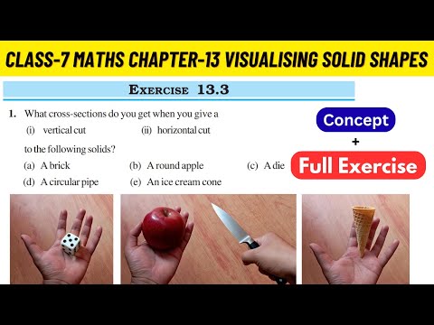 Class 7 Maths Chapter 13 Visualising Solid Shapes NCERT Exercise 13.3 full Solved #class7maths