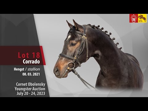 Cornet Obolensky Auktion Lot 18 Corrado Hengst v. Cornet Obolensky - Godolphin