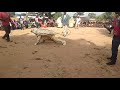 Gule Wamkulu Jamesbanda6943
