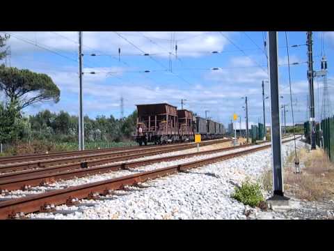 Comboio Especial n.º 92201 - São Martinho do Campo