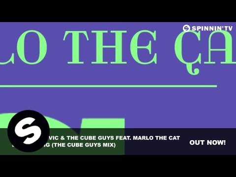 Baggi Begovic & The Cube Guys Feat. Marlo the Cat - Everything (The Cube Guys Mix)