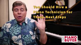 Piano Buyer: How to Find the Serial Number of Your Piano