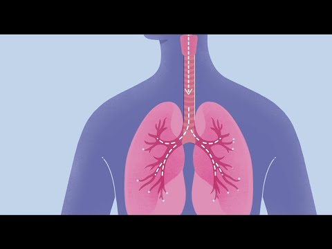 How COVID-19 Affects Your Lungs