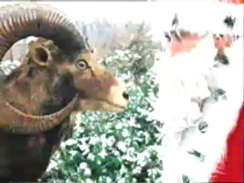 Edo Maajka - Djed Mraz