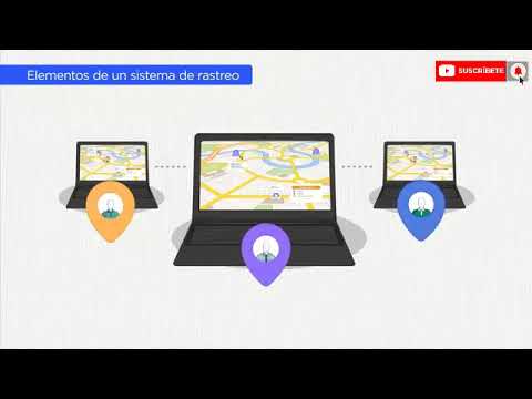 Cómo llevar el RASTREO de una mercancía -TRACKING-