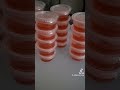 How To Make Agar For Mushrooms (Tutorial)