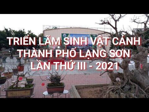 Triển lãm sinh vật cảnh tp Lạng Sơn lần thứ III - 2021 #20