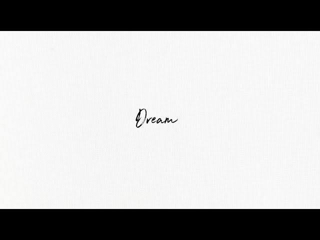 Shawn Mendes - Dream (Remix Stems)