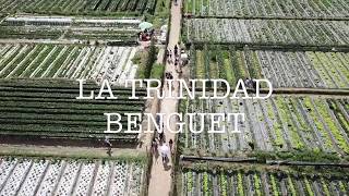preview picture of video 'Side Trip to La Trinidad, Benguet Strawberry Farm'