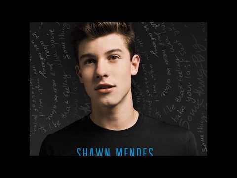 Shawn Mendes - This Is What It Takes