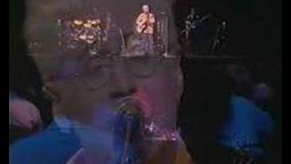 Bruce cockburn Live --- Wondering Where The Lions Are