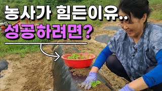 귀농귀촌 실패없이 성공하려면 여길 꼭 가봐야합니다
