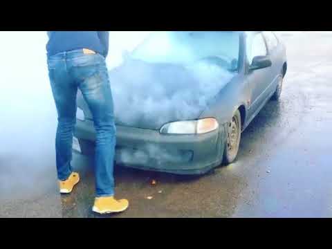 Just another day in our gymnasium