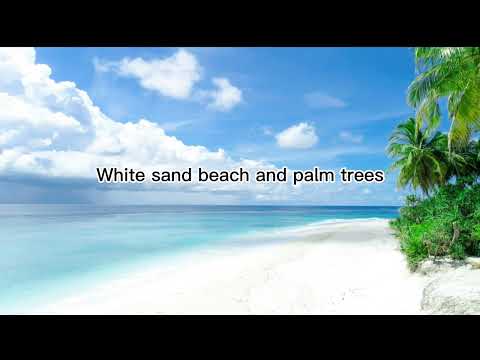 White sand beach and palm trees | 4k