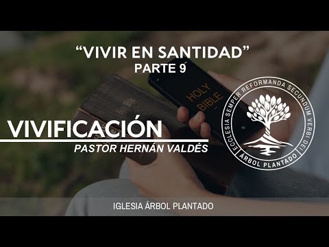 380 - Vivir en santidad - Vivificación - Parte 9