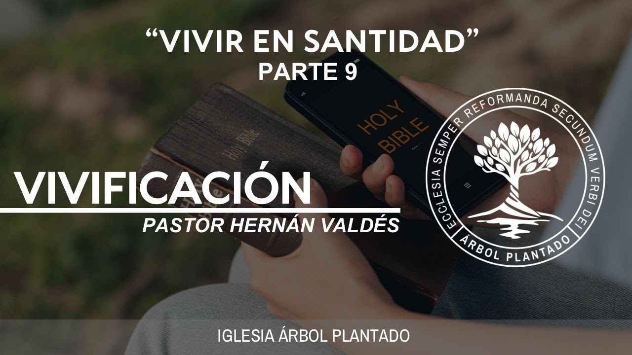 380 - Vivir en santidad - Vivificación - Parte 9