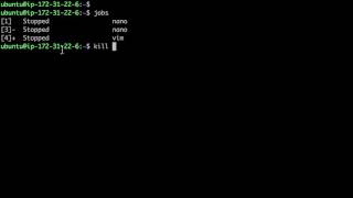 Linux - background execute (Ctrl+Z, &)