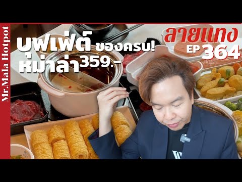 บุฟเฟ่ต์หม่าล่า หมู เนื้อ ฟองเต้าหู้ ไส้เป็ดครบ 359.- Mr.Mala #ลายแทง