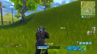 [Fortnite]