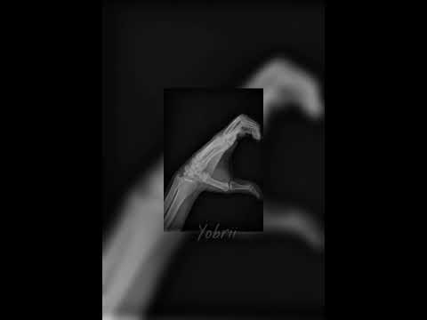 Sans toi - Romy rose ( speed up )