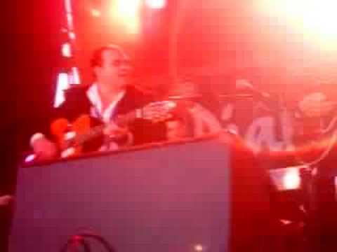 liberchies 2008 festival  les enfants de django