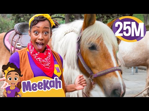 Meekah Learns to Take Care of Horses ! Blippi and Meekah Kids TV