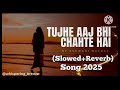 New Hindi Song 2025 Tujhe Aaj Bhi Chahte Hain Slowed Reverb Emraan Hashmi Hindisong​