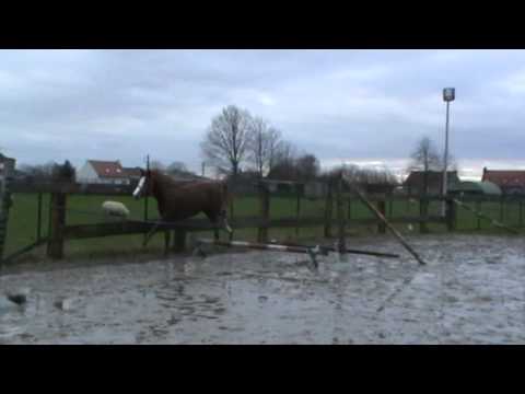 Quality Time x Quarco 2j