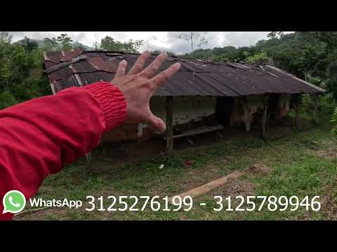 VENDO HERMOSA FINCA DE 7 HECTÁREAS EN EL PLAYÓN/SANTANDER EN LA VEREDA PLANADAS DE RUMBASON