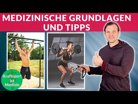Krafttraining 101: Was Anfänger über Anatomie, Bewegungsabläufe und Trainingssysteme wissen sollten!