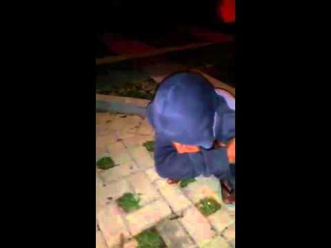 INTROGASI ASER GEMBONG NARKOBA