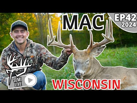 GIANT Wisconsin Whitetail | MAC | Archery Hunt
