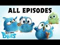 Angry Birds Blues | All Episodes Mashup - Special Compilation