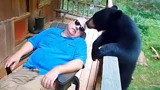 When Animals Turn Into Little Comedians Ringing the Doorbell 🔔 Funniest Animals Video Ever!