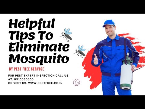 Pest Control Services