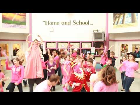 LFMSS Pink Shirt Day Harlem Shake 2013