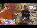 Blippi Goes Fishing Animals For Kids Animal Cartoons Funny Cartoons Learn About Animals