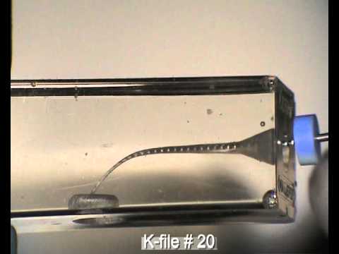 RaCe 123 endo file system