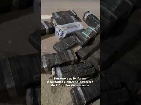 Mais de 200 kg de maconha são apreendidos em ação policial, em Boqueirão do Leão