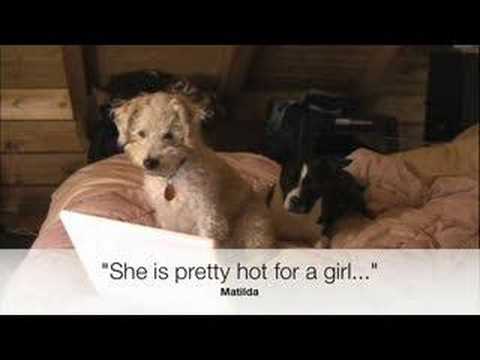 Oh Agnes! (a misspelled love story)