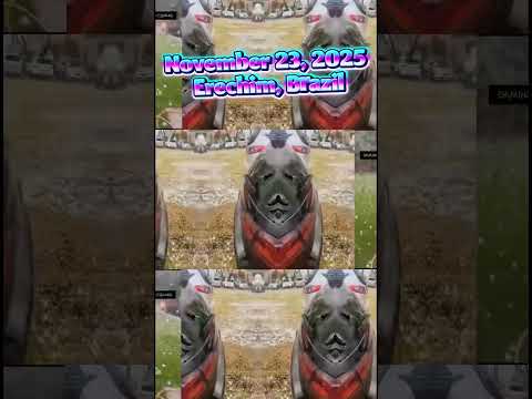 November 23, 2025. A hailstorm struck the city of Erechim, Brazil, in the state of Rio Grande do Sul