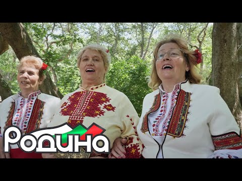 ЖФГ "Чинари" - Що ми е мерак, Магде