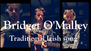 Bridget O'Malley (traditional Irish song)