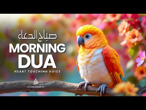 Most Powerful Morning Dua in a Soft, Heart-Touching Voice | دعاء قوي لبركة اليوم والرزق الوفير
