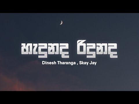 Dinesh Tharanga - Hadunada Ridunada (හැදුනද රිදුනද​ හිත මාගේ) ft. Skay Jay | Lyrics video