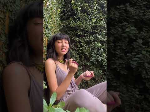 The kashaka instrument #kashaka #shorts #viralshorts