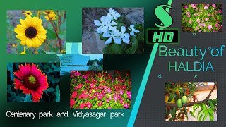 preview picture of video 'View from  centenary & vidyasagar park in Haldia'
