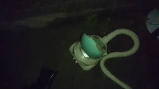 (閲覧注意)かめむしと、格闘していた話！それと、かめむしを、逃がす話です！