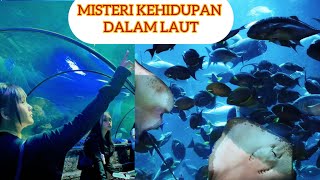 Download lagu THE MYSTERY OF DEEP SEA LIFE (SEA WORLD ANCOL) mp3 Download lagu THE MYSTERY OF DEEP SEA LIFE (SEA WORLD ANCOL) mp3
