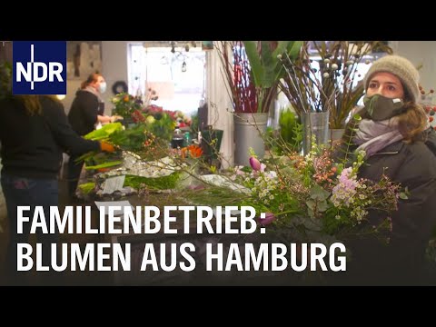 Die Blumengeschwister | Die Nordreportage | NDR